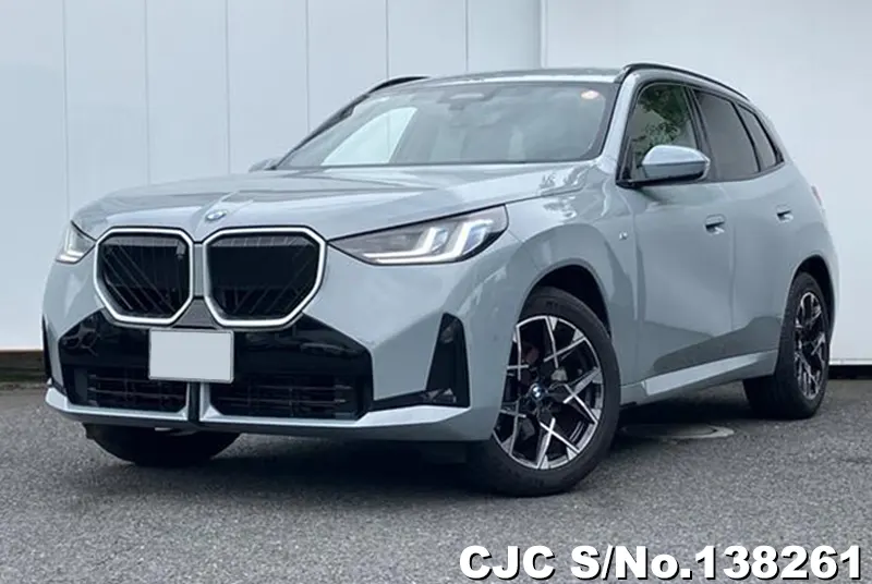 BMW X3 in Gray for Sale Image 3