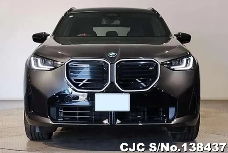 BMW X3 in Gray for Sale Image 1