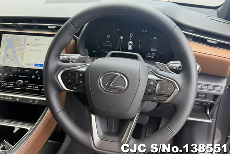Lexus LBX in Gray for Sale Image 5