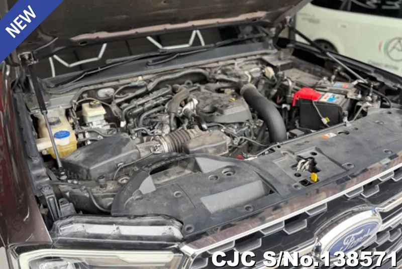 Ford Everest in Brown for Sale Image 9