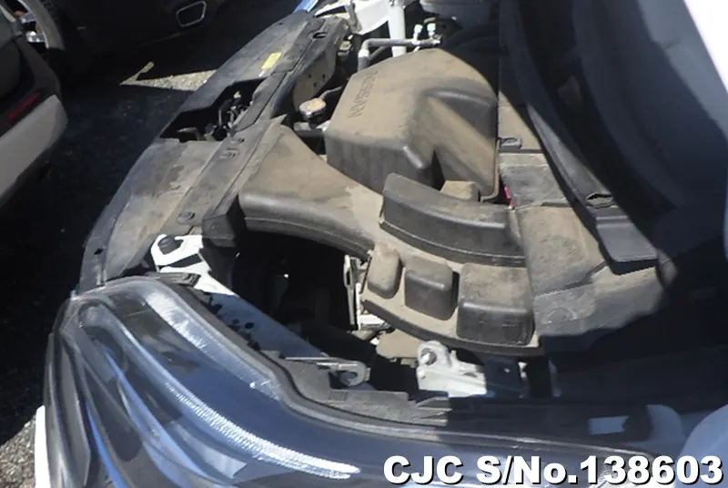 Nissan Serena in White for Sale Image 21