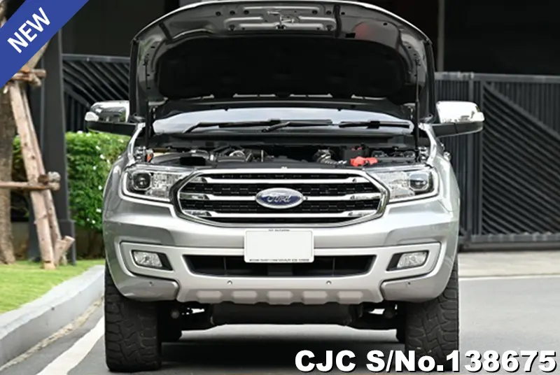 Ford Everest in Silver for Sale Image 13