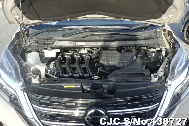 Nissan Serena in Beige for Sale Image 12
