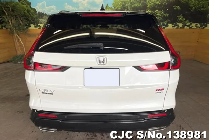 Honda CRV in Pearl for Sale Image 5