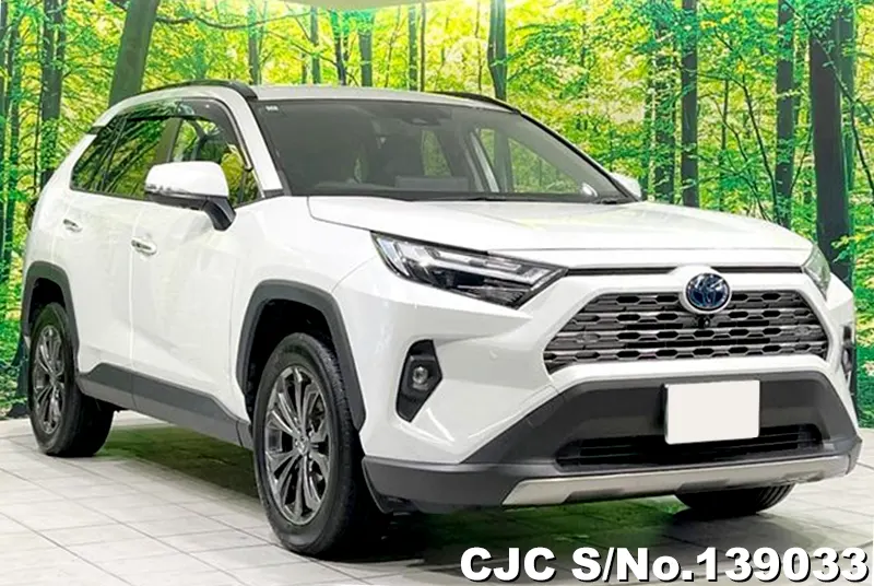 Toyota / Rav4 2022