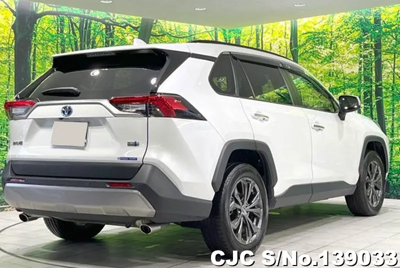 Toyota Rav4 in White for Sale Image 1