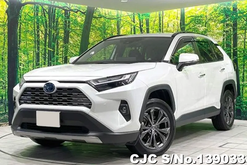 Toyota Rav4 in White for Sale Image 2