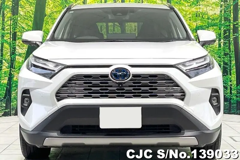 Toyota Rav4 in White for Sale Image 3