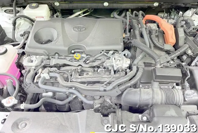 Toyota Rav4 in White for Sale Image 12