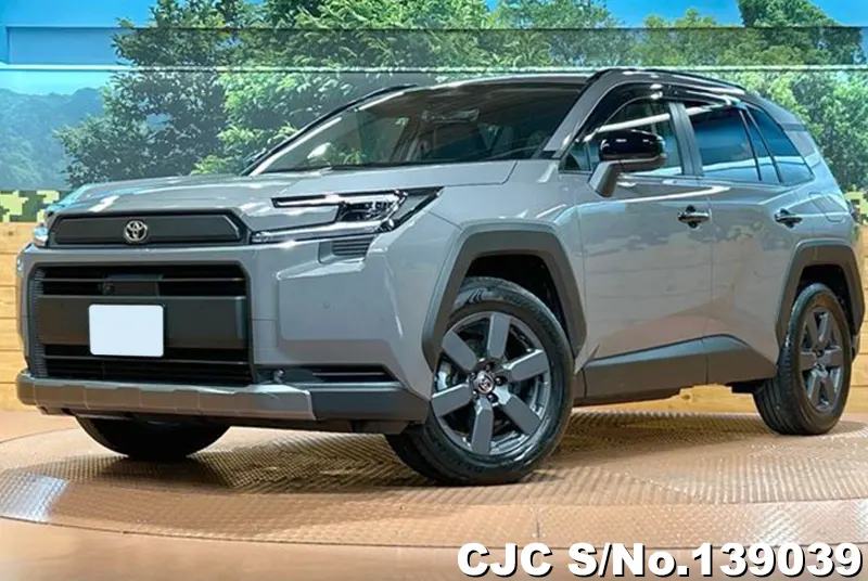 Toyota Rav4 in Gray for Sale Image 3