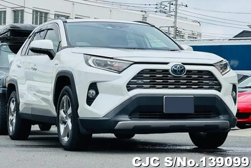 Toyota / Rav4 2020