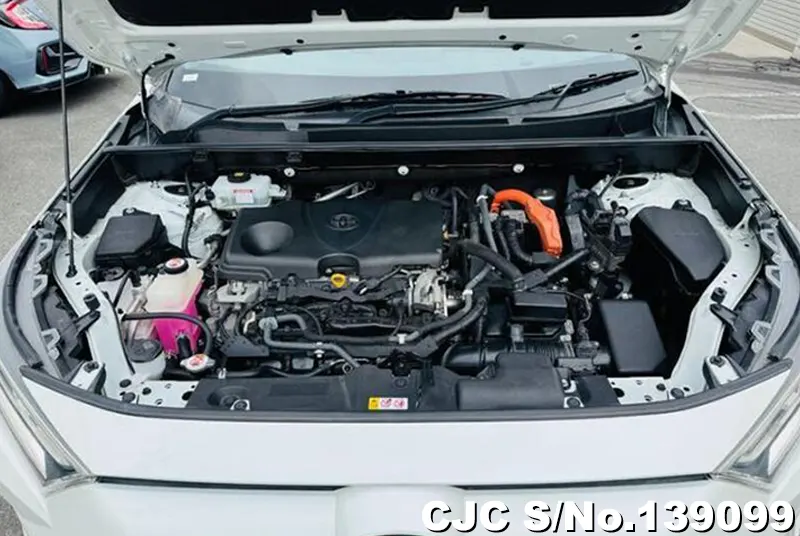 Toyota Rav4 in White for Sale Image 9