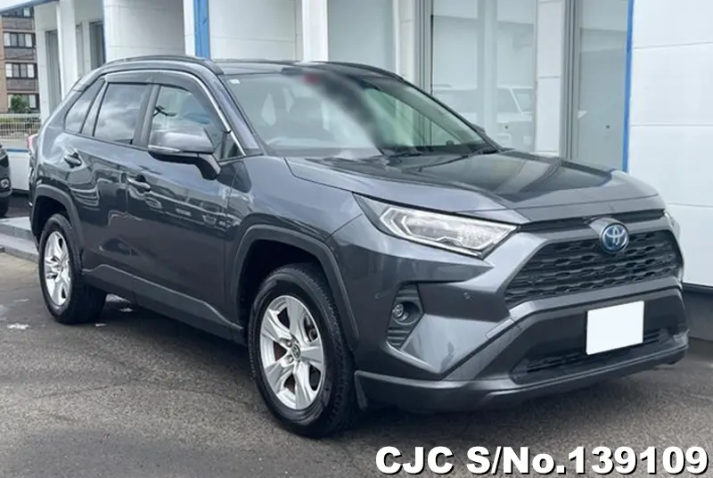 Toyota / Rav4 2020
