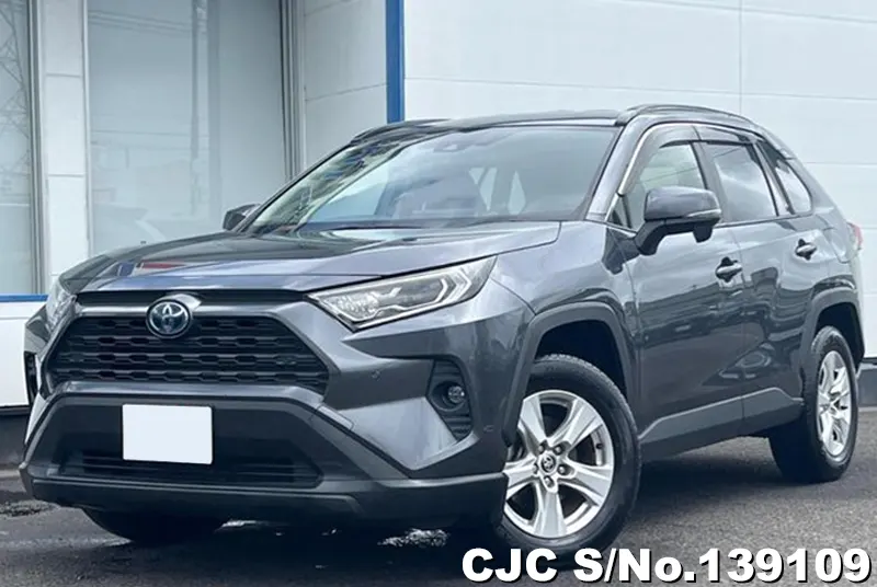 Toyota Rav4 in Gray for Sale Image 2