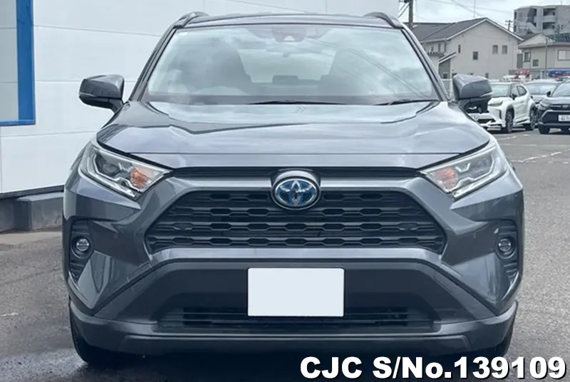 Toyota Rav4 in Gray for Sale Image 3