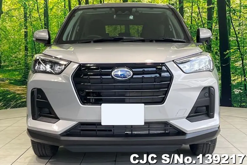 Subaru Rex in Silver for Sale Image 4