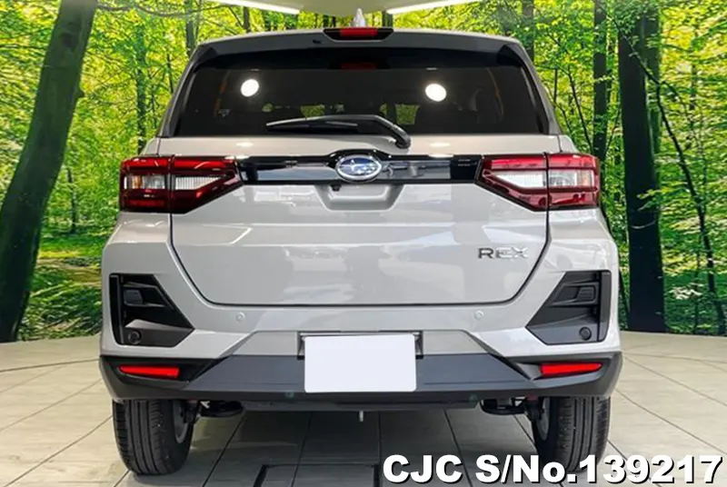 Subaru Rex in Silver for Sale Image 5