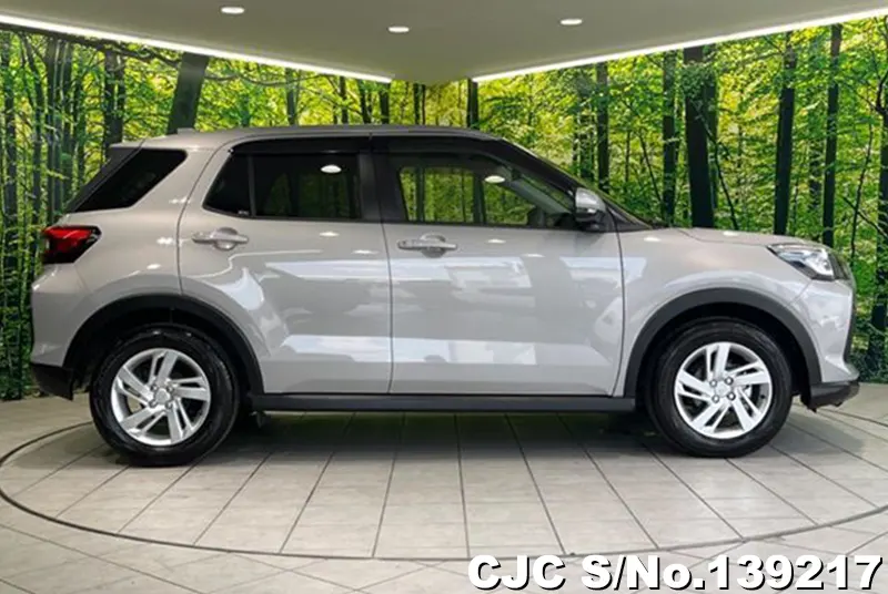 Subaru Rex in Silver for Sale Image 6