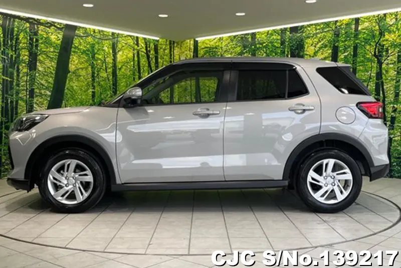 Subaru Rex in Silver for Sale Image 7