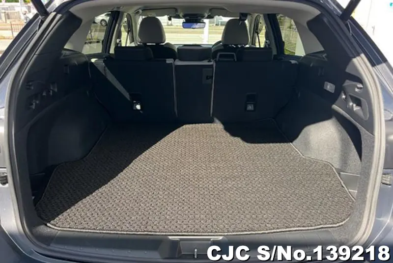 Subaru Levorg in Gray for Sale Image 6